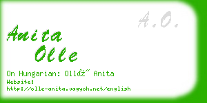 anita olle business card